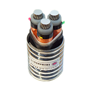YJLHS、YJLHV22、YJLHV 8.7/15KV 中壓稀土高鐵鋁合金電纜